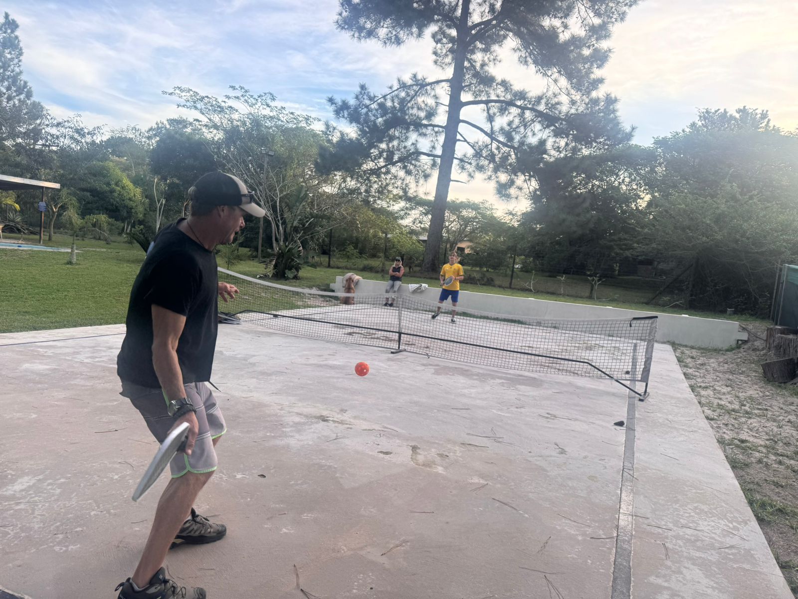Pickleball court under coastal palms