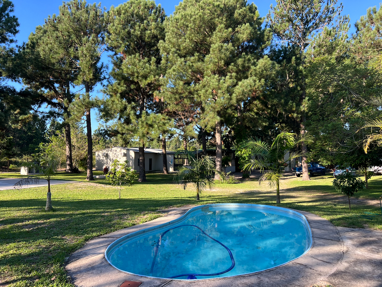 Pool surrounded by trees at Skhova Camp