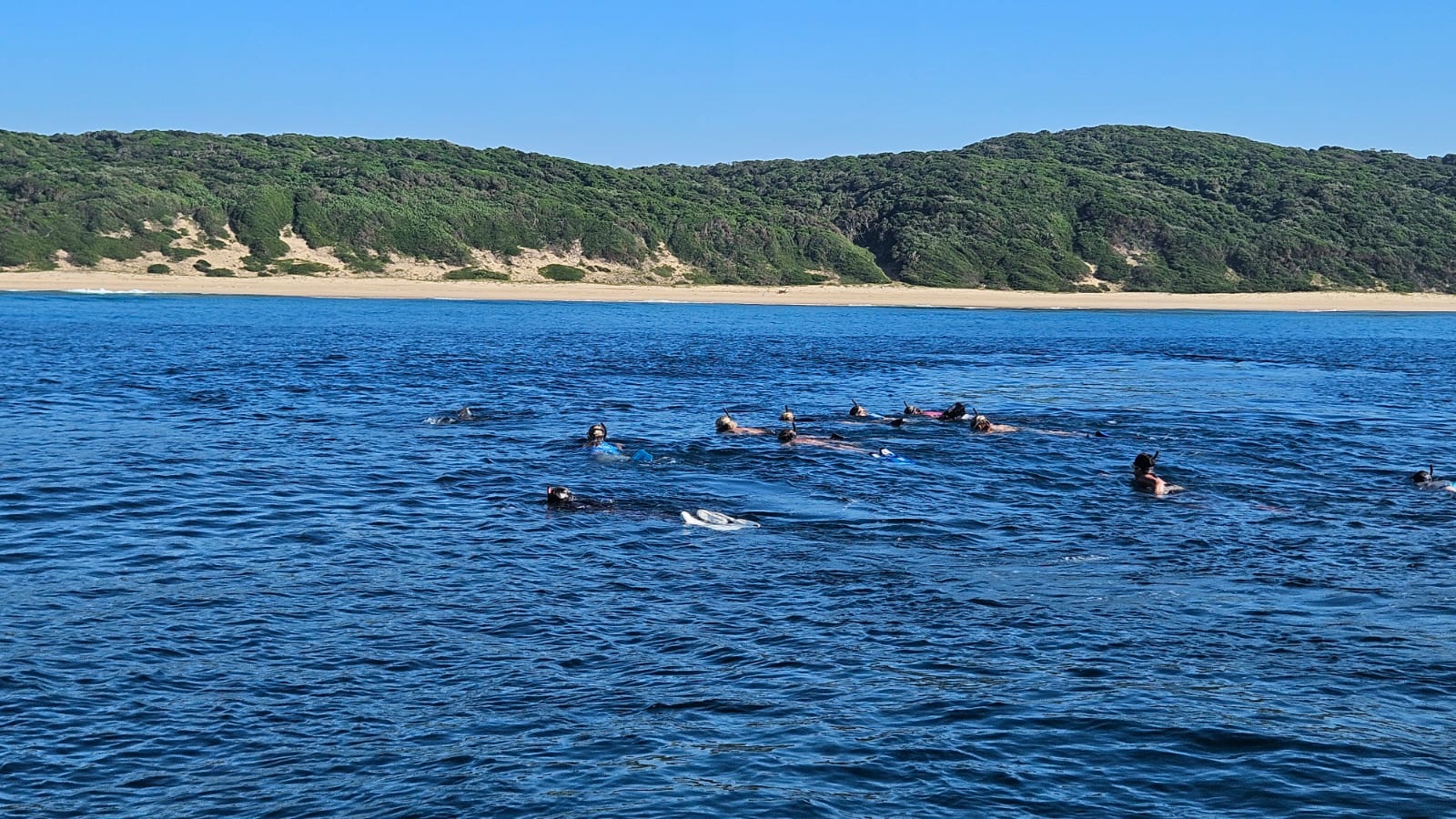 Snorkelling group above the reef